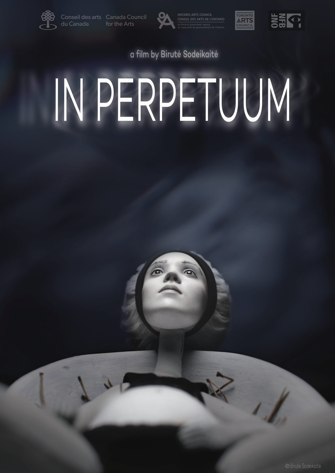 In Perpetuum poster