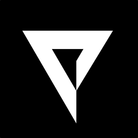 Platige Image logo